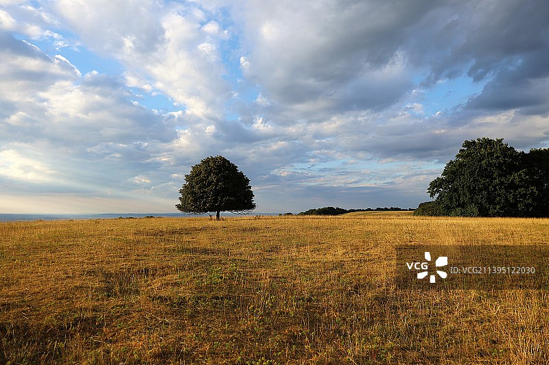 德国田野风光图片素材