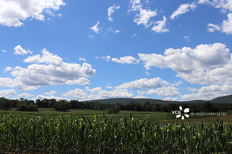 天空衬托下的农田风景图片素材
