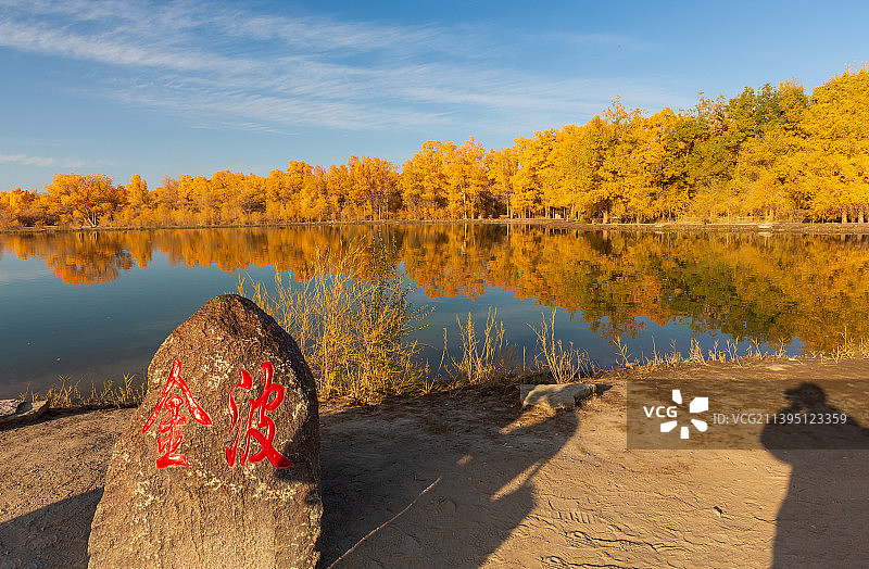 金塔胡杨林金波湖图片素材