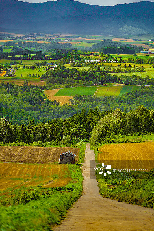 天空衬托下的农田风景图片素材