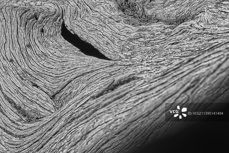 木材特写镜头图片素材