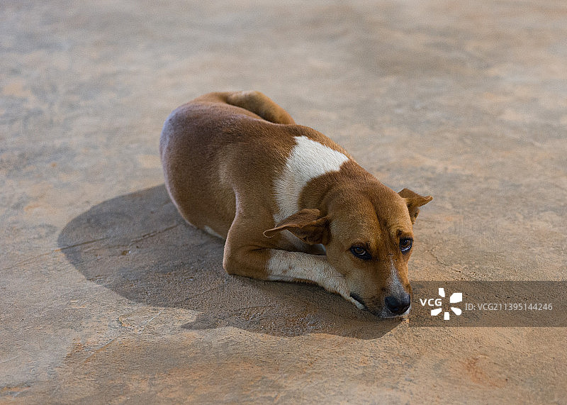 沙滩上混合物的俯视角度图片素材