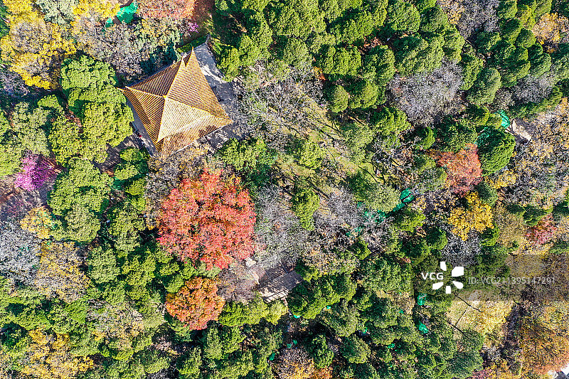 航拍云南昆明圆通山 昆明动物园 昆明圆通山动物园图片素材