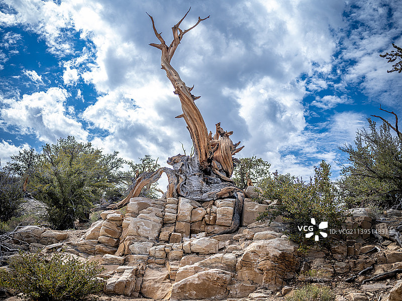 岩石形成对着天空的低角度视图图片素材