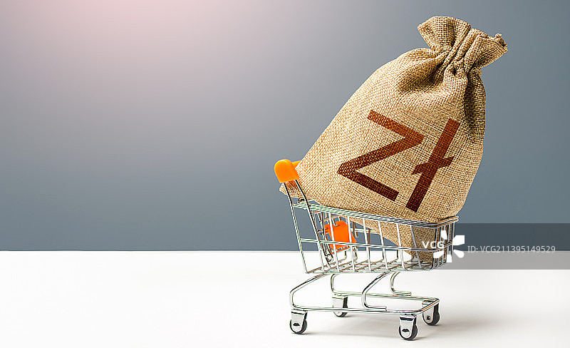 购物手推车里的波兰兹罗提钱袋图片素材