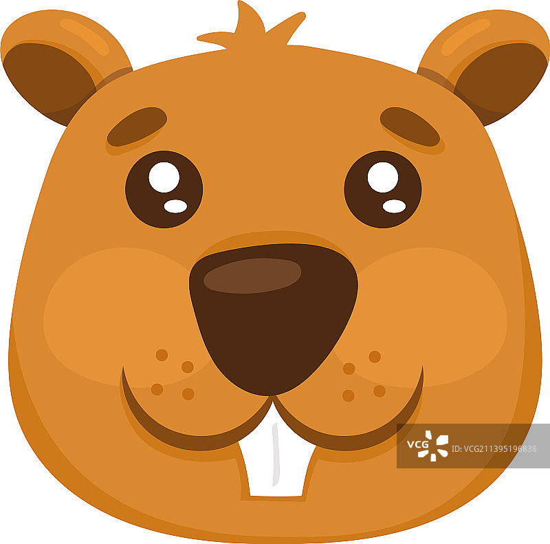 林地动物松鼠头图片素材