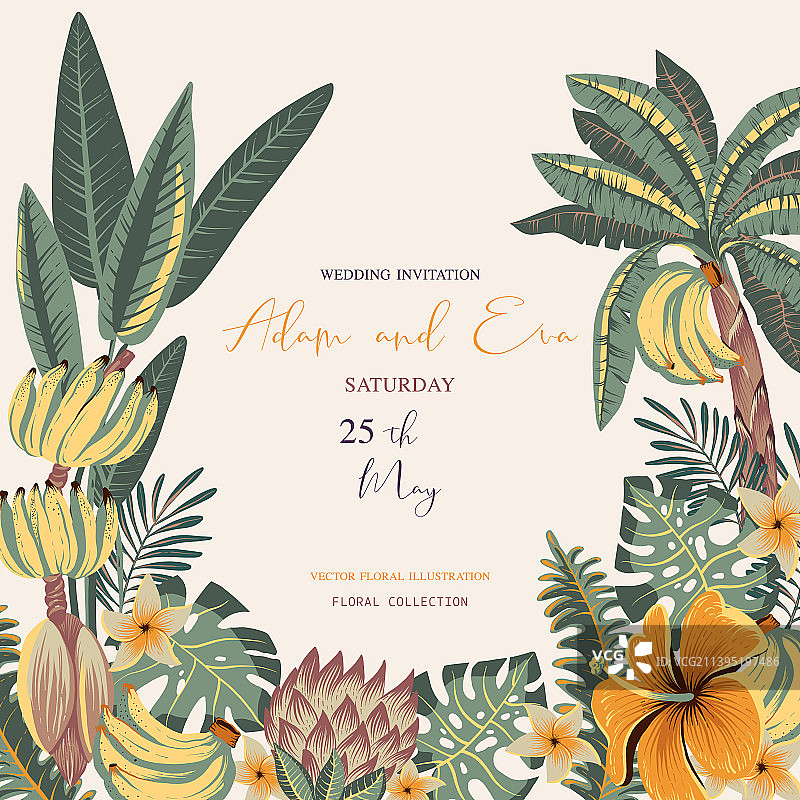 夏季热带花卉无缝图案图片素材