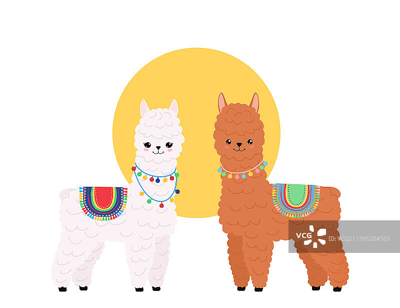 白色背景上的可爱美洲驼，有趣的卡哇伊风格图片素材