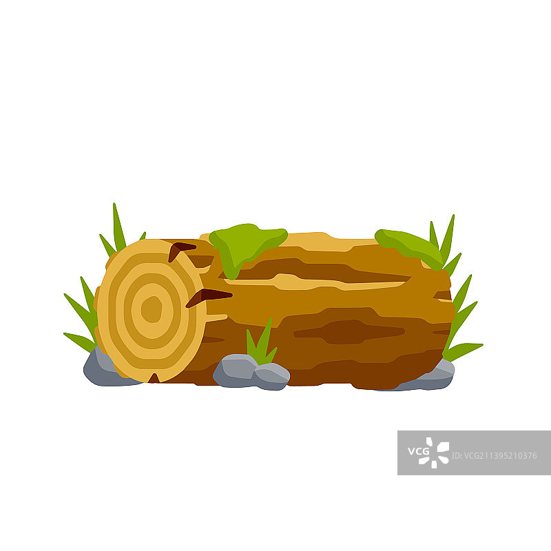 带有绿色苔藓的棕色原木图片素材