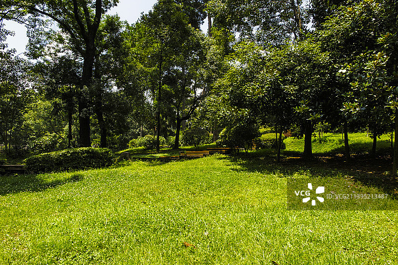 中国贵州贵阳小车河城市湿地公园、贵阳市南郊公园的夏日的阳光草坪、树和天空图片素材
