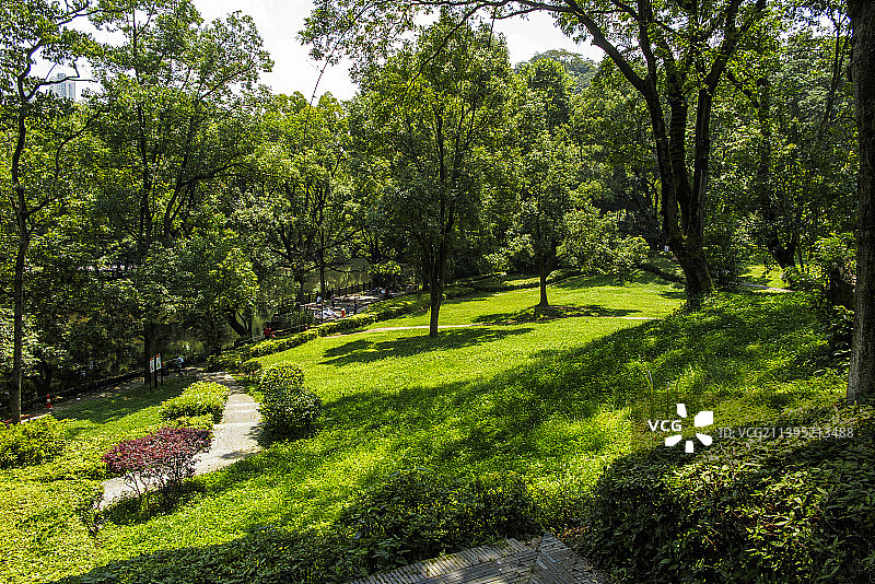 中国贵州贵阳小车河城市湿地公园、贵阳市南郊公园的夏日的阳光草坪、树和天空图片素材