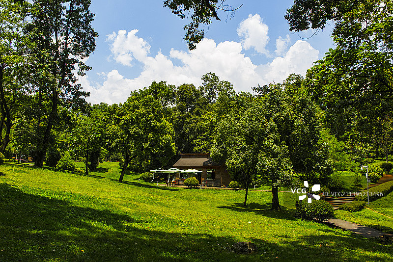 中国贵州贵阳小车河城市湿地公园、贵阳市南郊公园的夏日的阳光草坪、树和天空图片素材