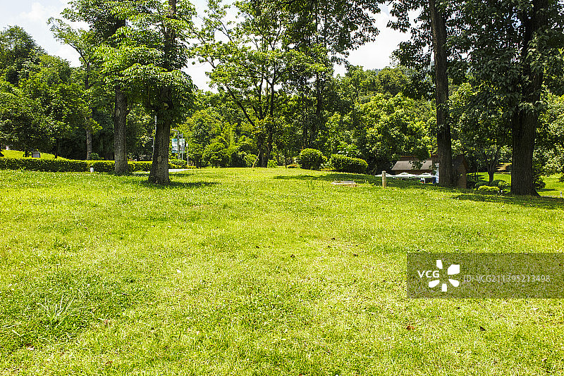 中国贵州贵阳小车河城市湿地公园、贵阳市南郊公园的夏日的阳光草坪、树和天空图片素材