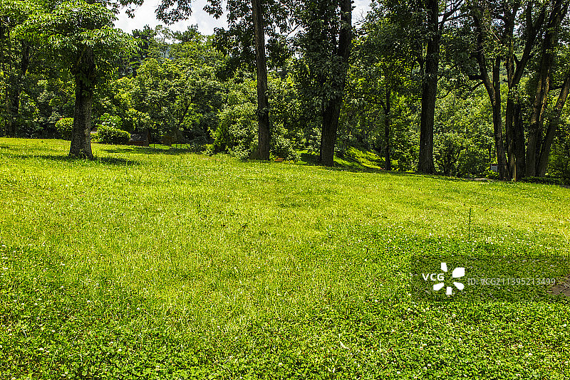 中国贵州贵阳小车河城市湿地公园、贵阳市南郊公园的夏日的阳光草坪、树和天空图片素材