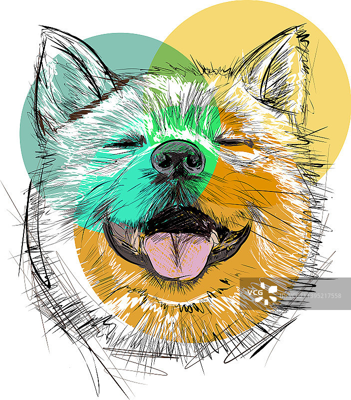 手绘素描柴犬马克笔图片素材