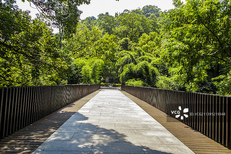 中国贵州贵阳小车河城市湿地公园、贵阳市南郊公园的夏日风光图片素材