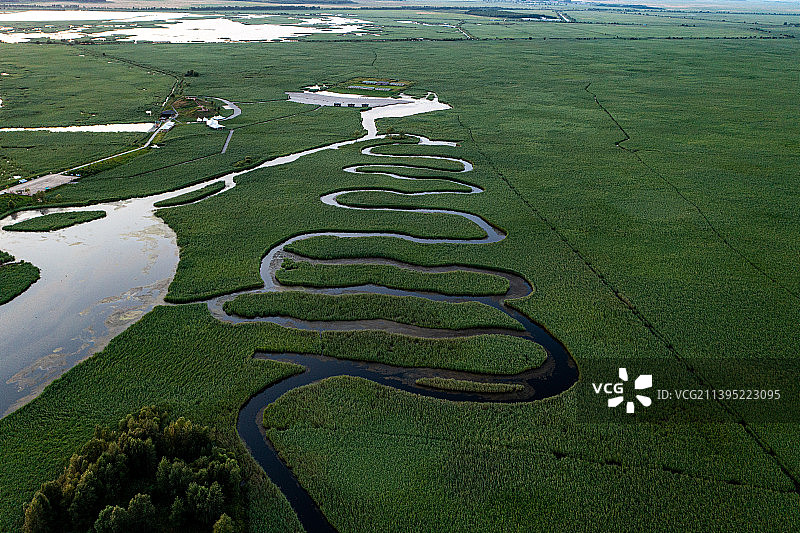 黑龙江齐齐哈尔：扎龙自然保护区湿地图片素材
