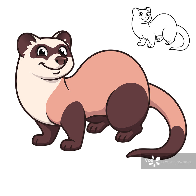 可爱的快乐雪貂图片素材