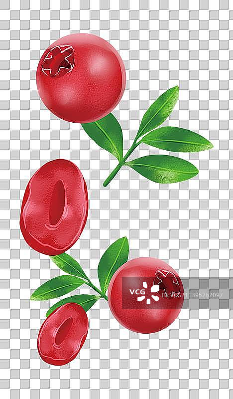 蔓越莓干图片素材