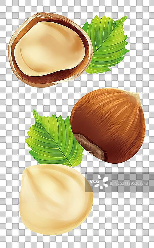 坚果-榛子仁图片素材