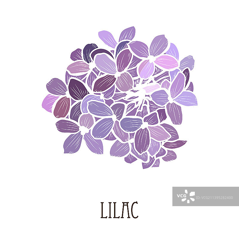 手绘花卉装饰图片素材