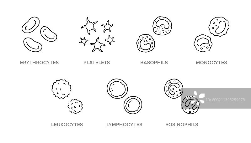 包含图标的血细胞涂鸦图片素材