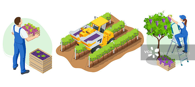 2.5D园丁农民工人护理图片素材