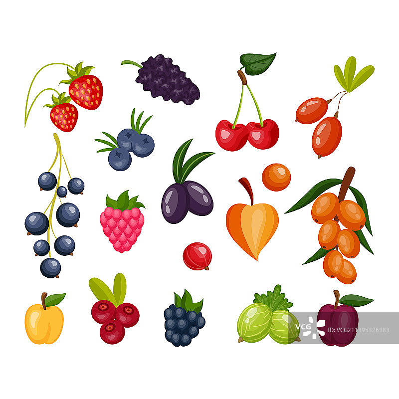 卡通浆果图标：植物蓝莓图片素材