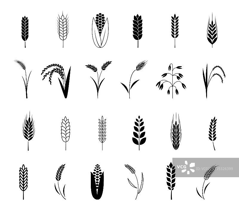 小麦穗图标集（大麦、玉米、黑麦）图片素材