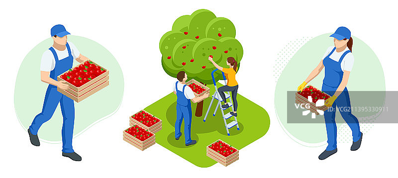 2.5D园丁、农民和工人护理场景图片素材