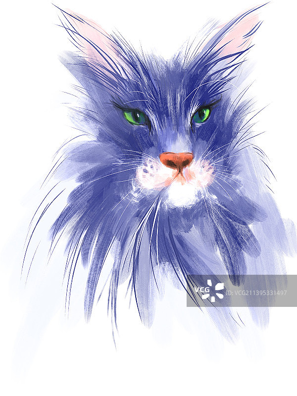 猫咪 水彩 动物 缅因猫 可爱 特写 插画 肖像 宠物图片素材