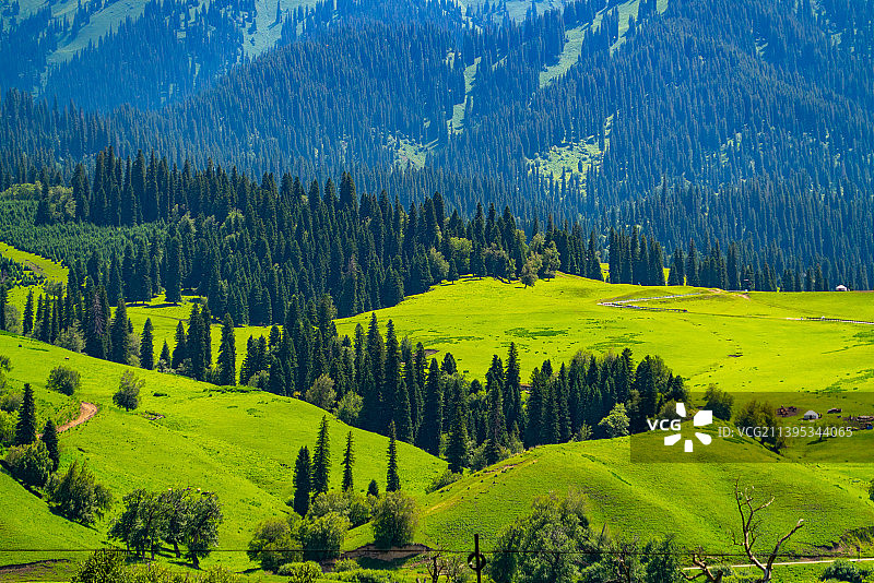 新疆伊犁新源那拉提空中草原图片素材