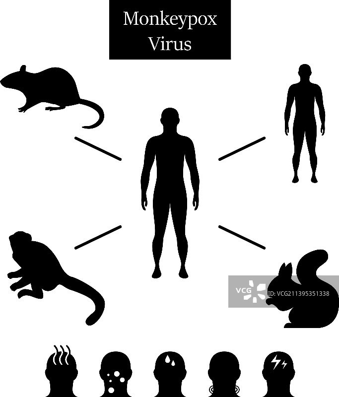 猴痘病毒传播症状信息图图片素材