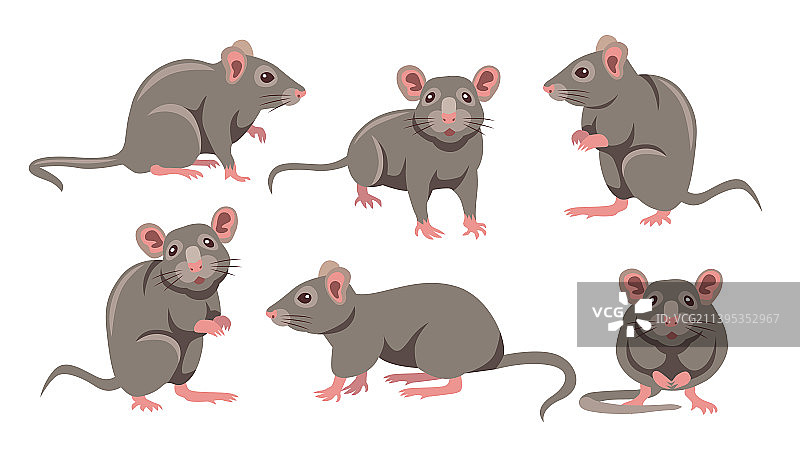 卡通灰色小老鼠不同姿势合集图片素材