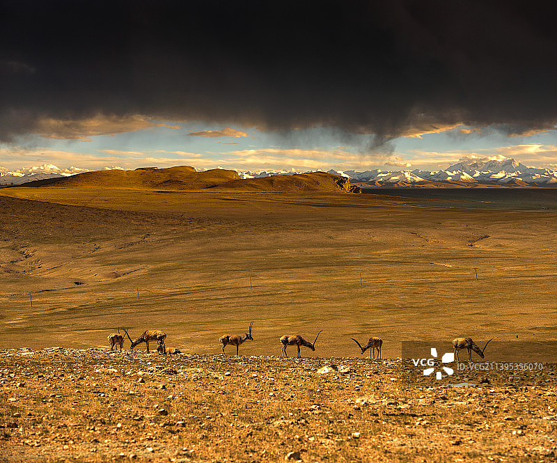 圣象天门的黄昏图片素材