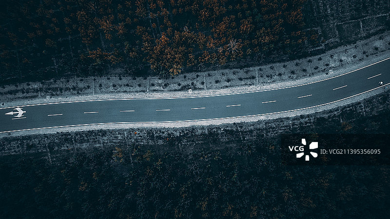 奥林匹克森林公园图片素材