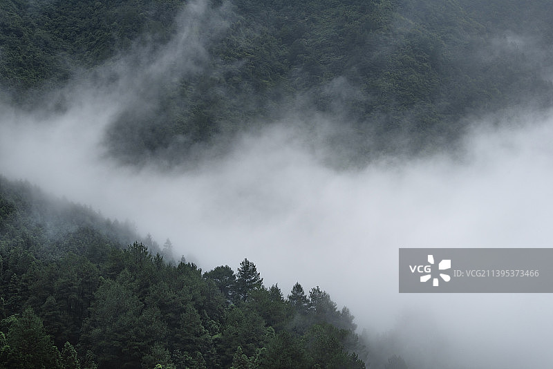重庆万盛黑山谷晨雾图片素材