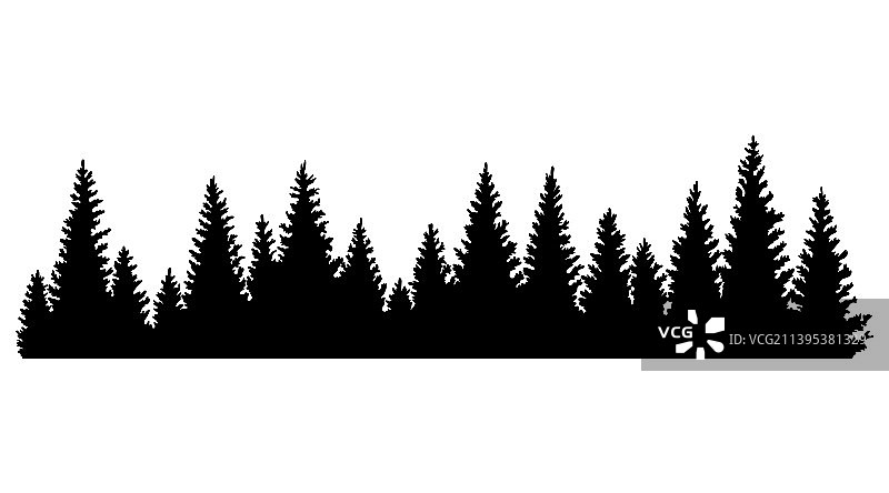 针叶或云杉森林中的冷杉树轮廓图片素材