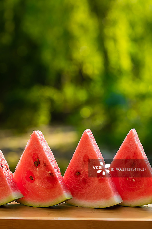 一排西瓜放在托盘里,户外,绿树,夏天图片素材