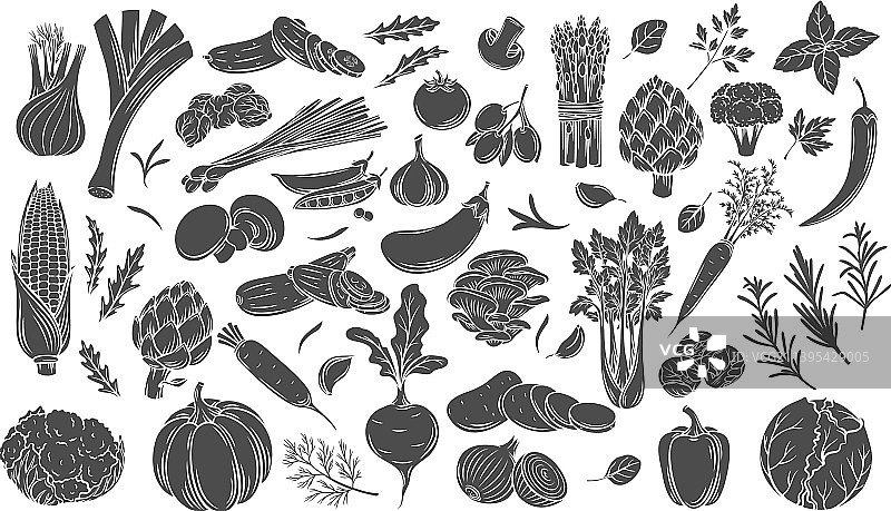 蔬菜标志图标集图片素材