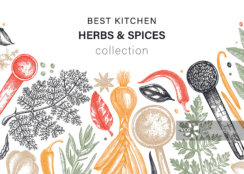 彩色手绘草药和香料背景图片素材