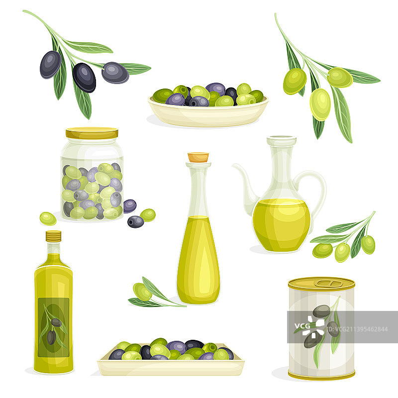 小黑绿橄榄品种图片素材