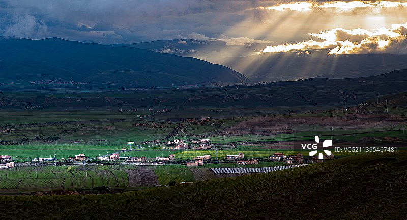 春光乍泄图片素材