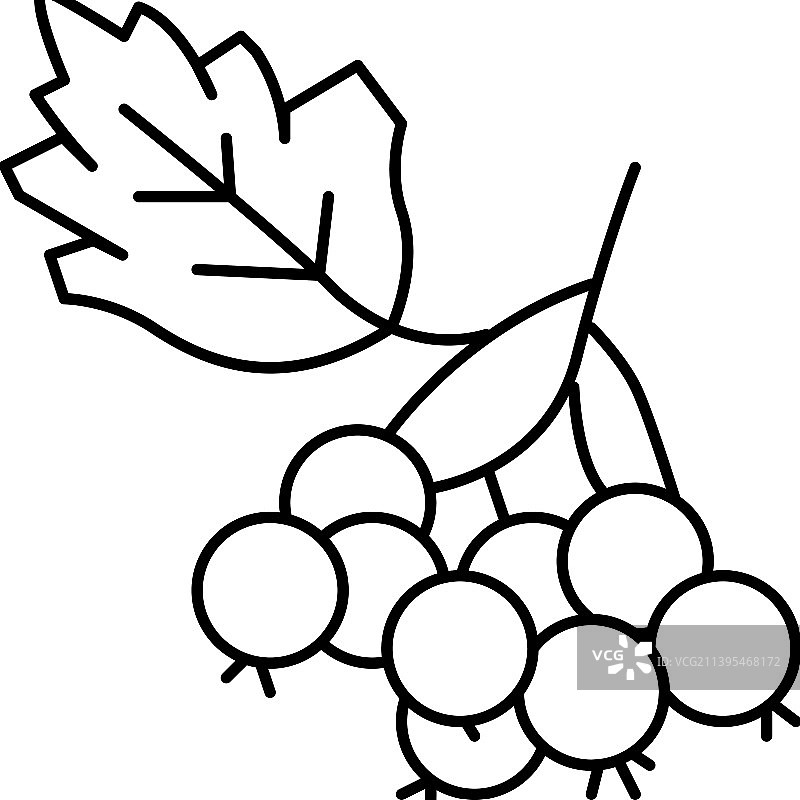 山楂果线性图标图片素材