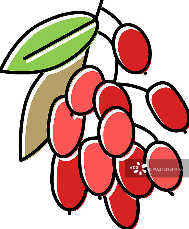枸杞果和叶子彩色图标图片素材