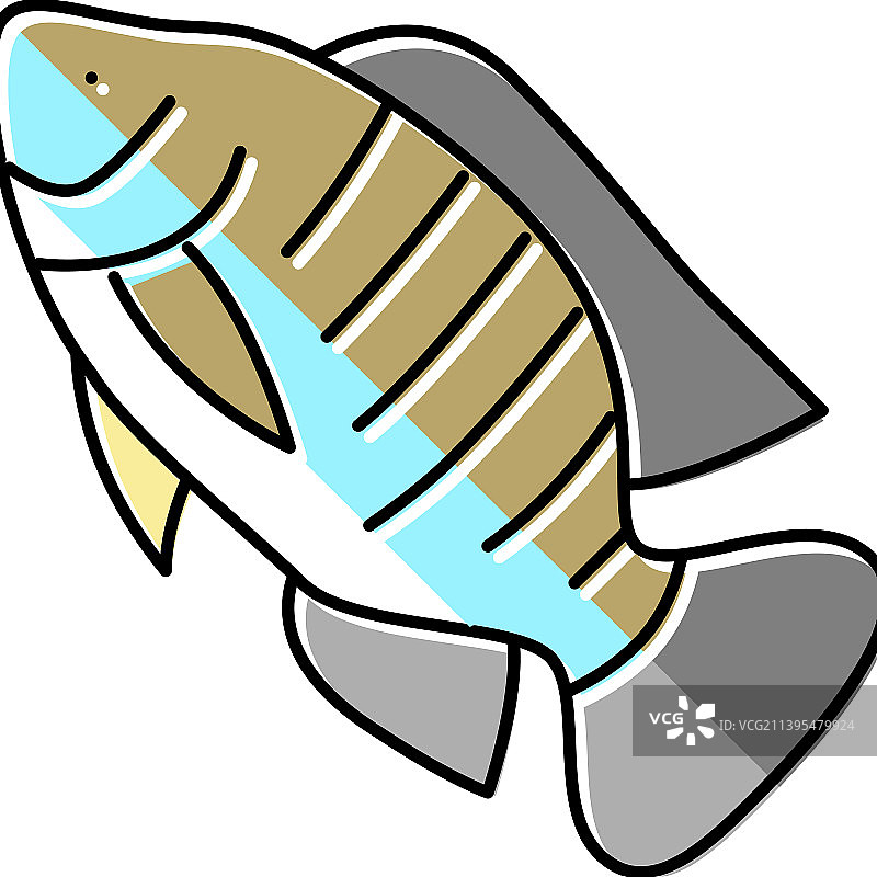 尼罗罗非鱼彩色图标图片素材