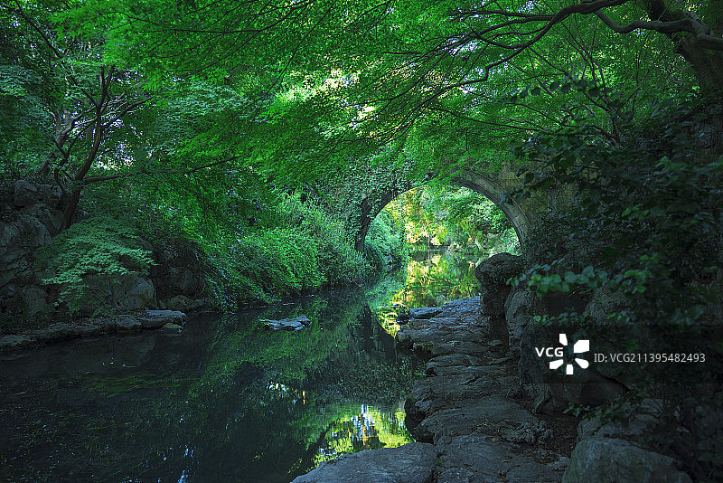 杭州柳浪闻莺公园图片素材