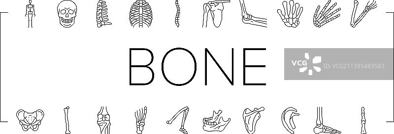 人体骨骼结构图标集图片素材