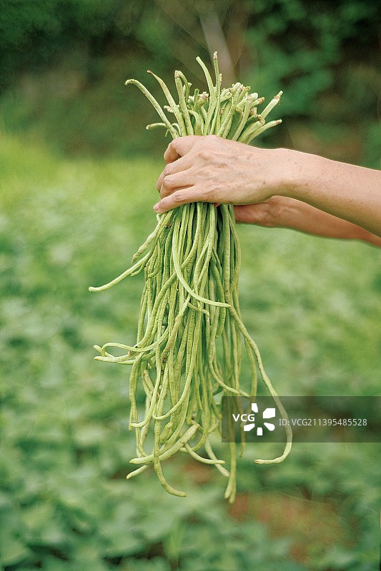 农村风景图片素材