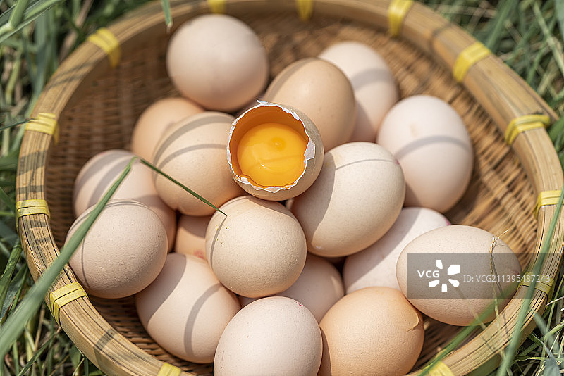 鸡蛋图片素材